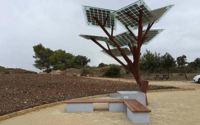 Israel Plants Solar Trees